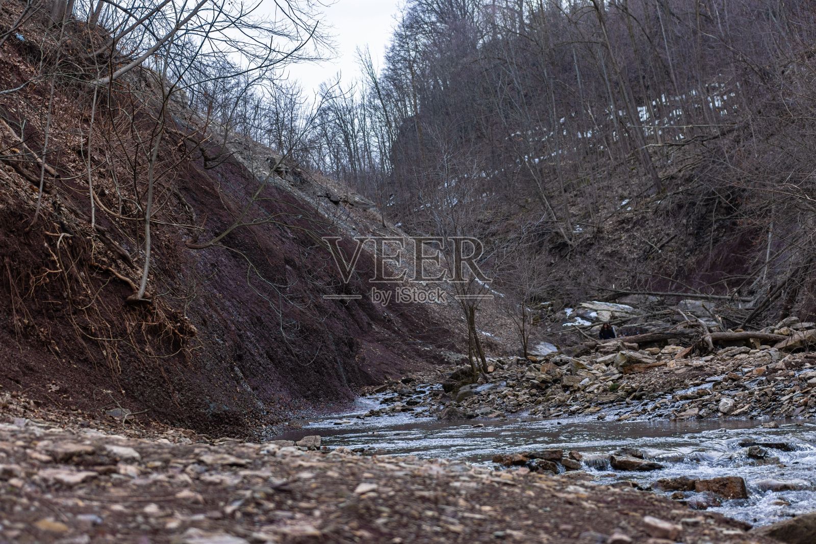 风景优美的岩石海岸线与河流和树木在前景照片摄影图片
