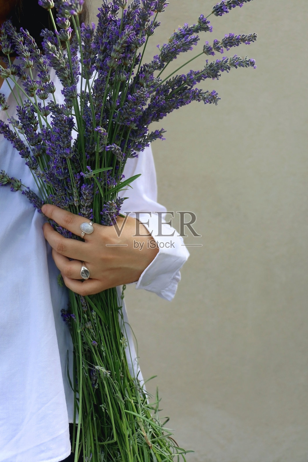 拿采摘的薰衣草照片摄影图片