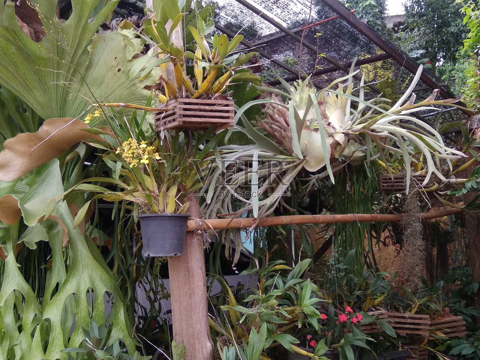 清道国家公园照片摄影图片