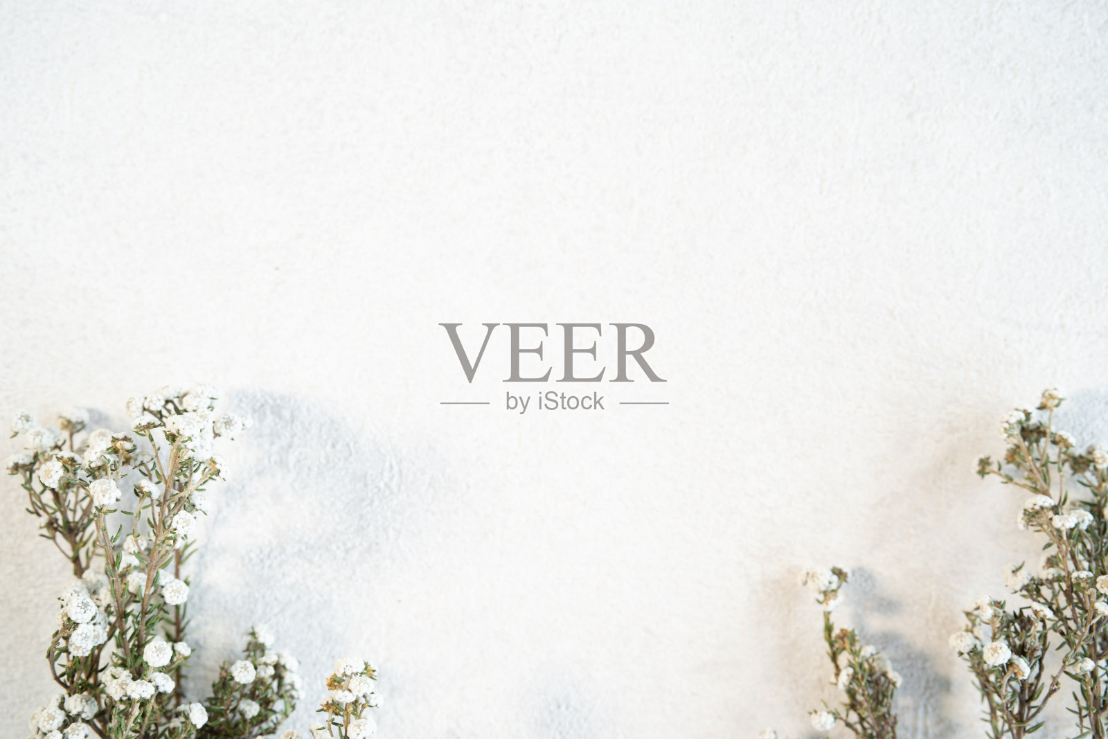 五连科的干花和边缘照片摄影图片