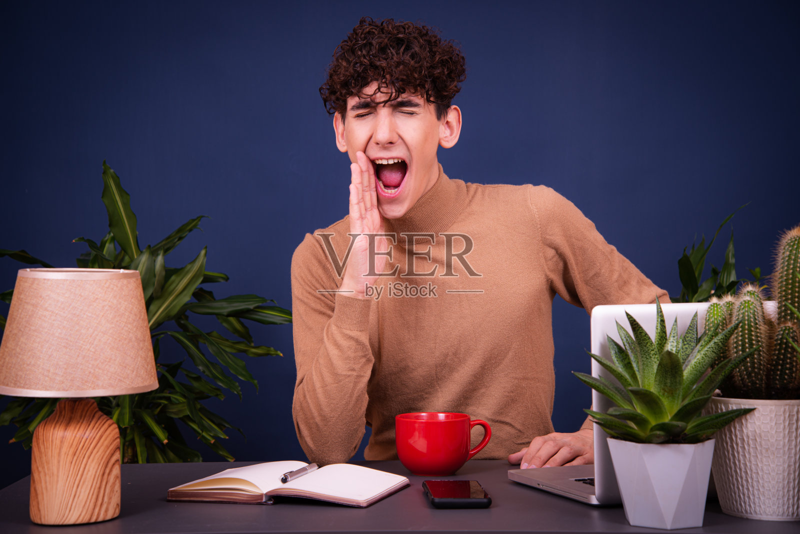 有趣的傻瓜在网上交流，学习和解决工作中的问题。照片摄影图片