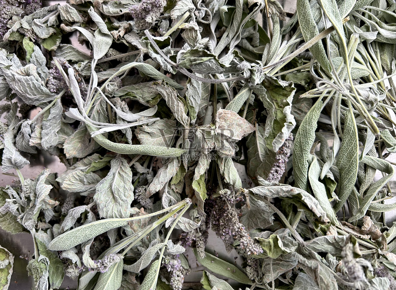 干薄荷和鼠尾草叶，自制健康茶，薄荷饮料照片摄影图片