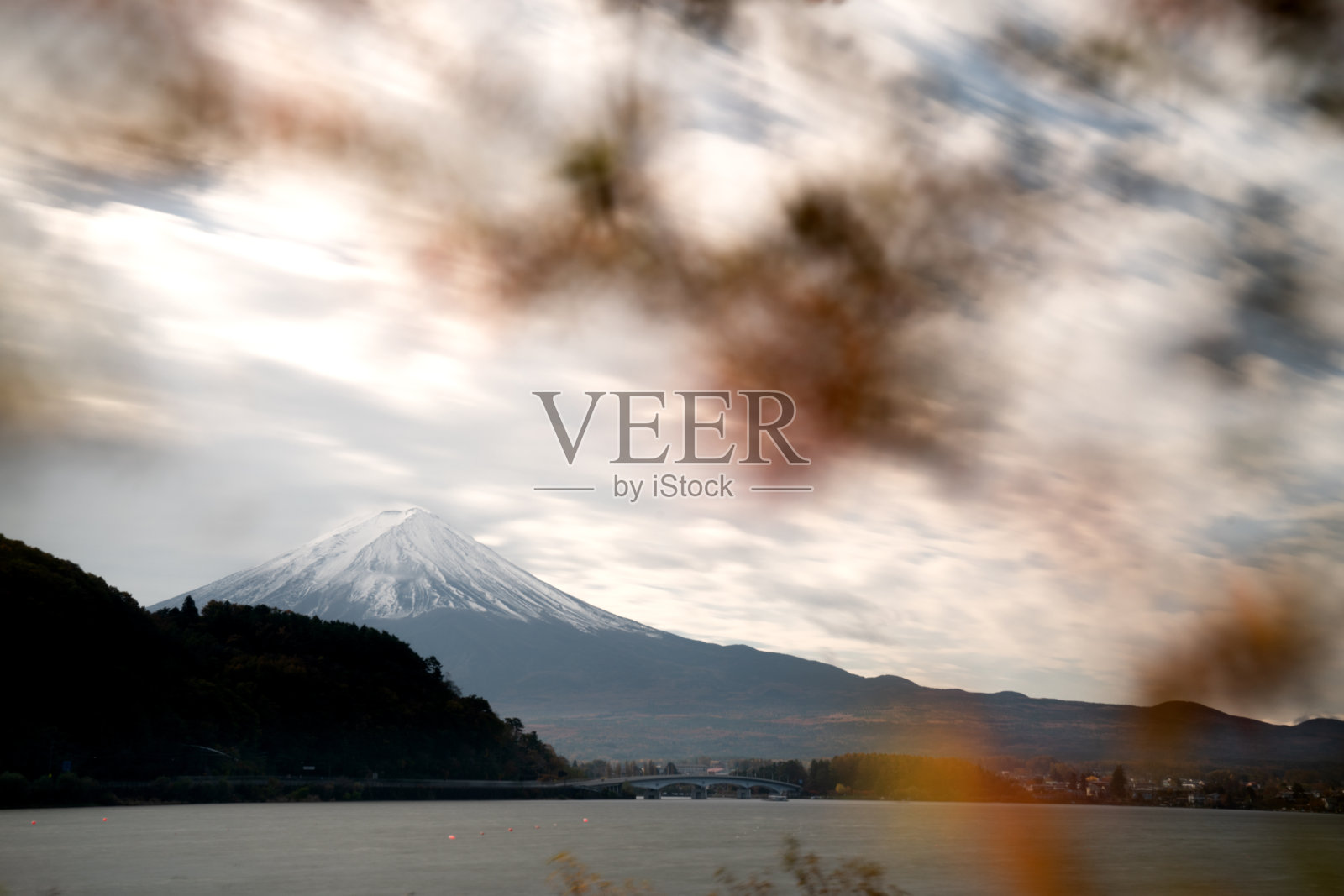 富士山与雪帽与枫叶在前景。照片摄影图片