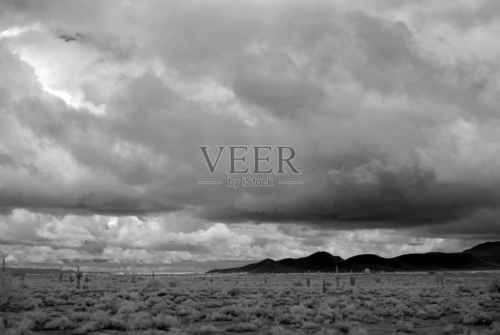 红外线中的亚利桑那州索诺拉沙漠照片摄影图片