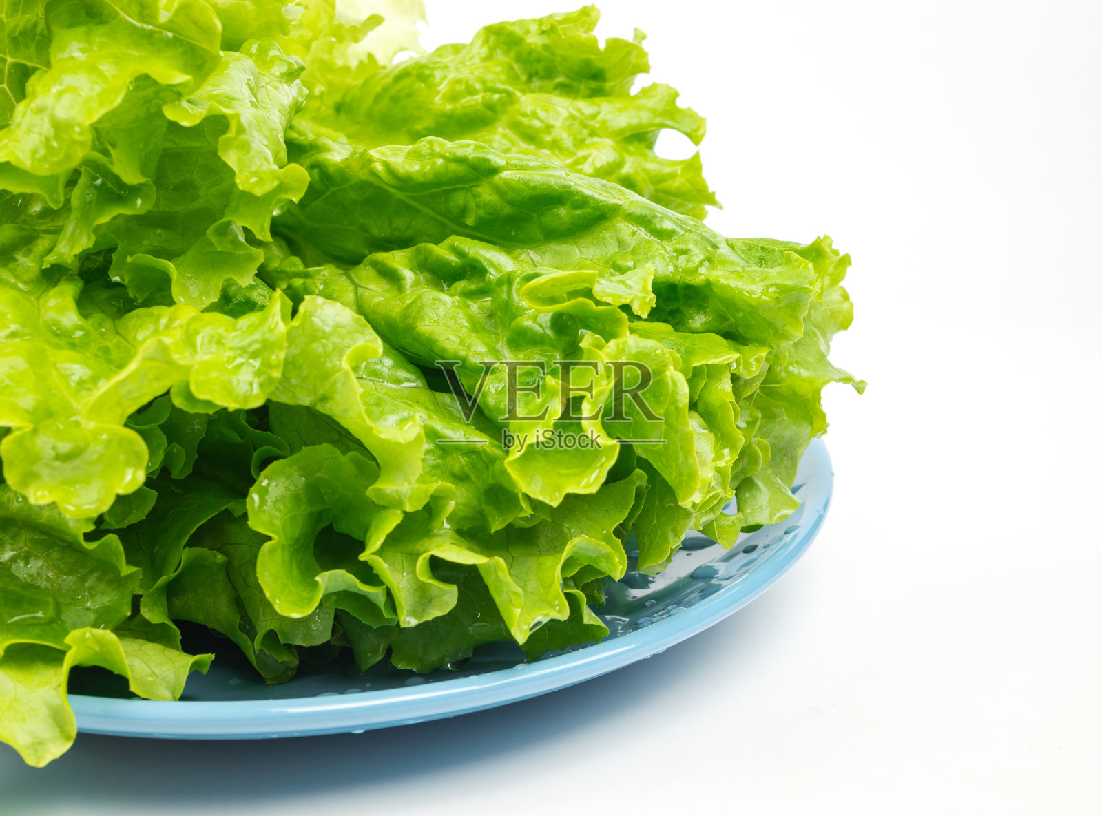 白色背景上的莴苣特写照片摄影图片
