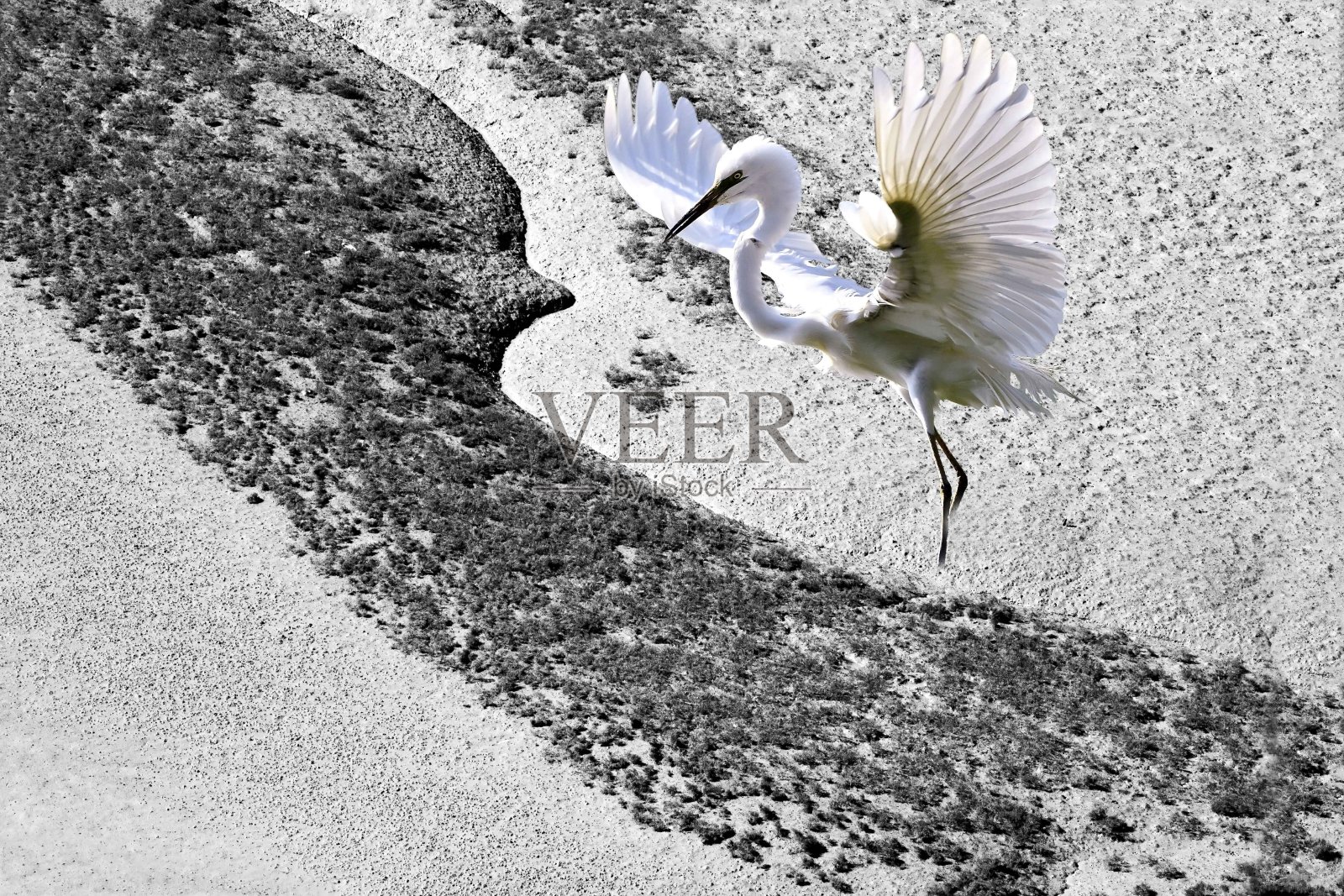 有创意的照片。照片摄影图片