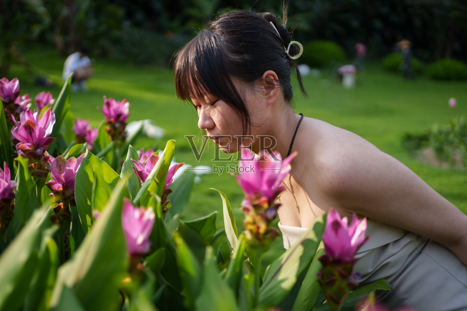 亚洲女孩赏花照片摄影图片