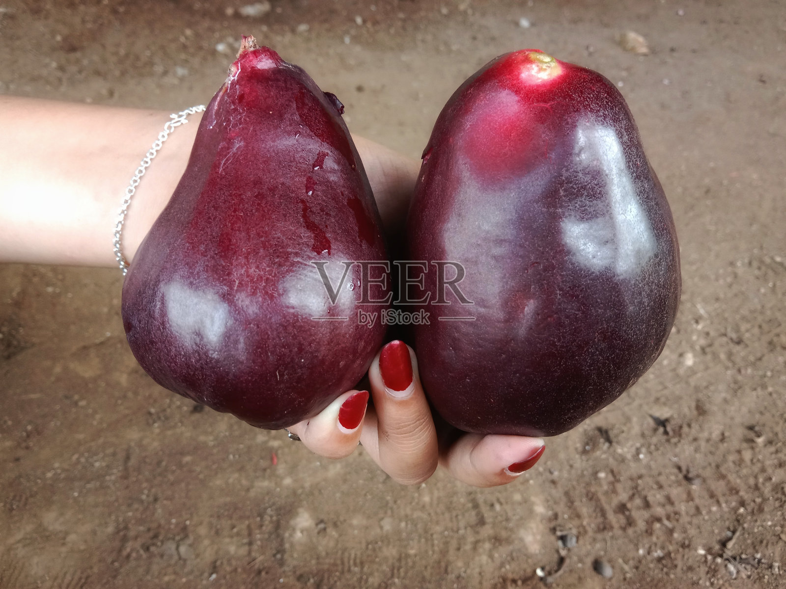 牙买加番石榴果照片摄影图片