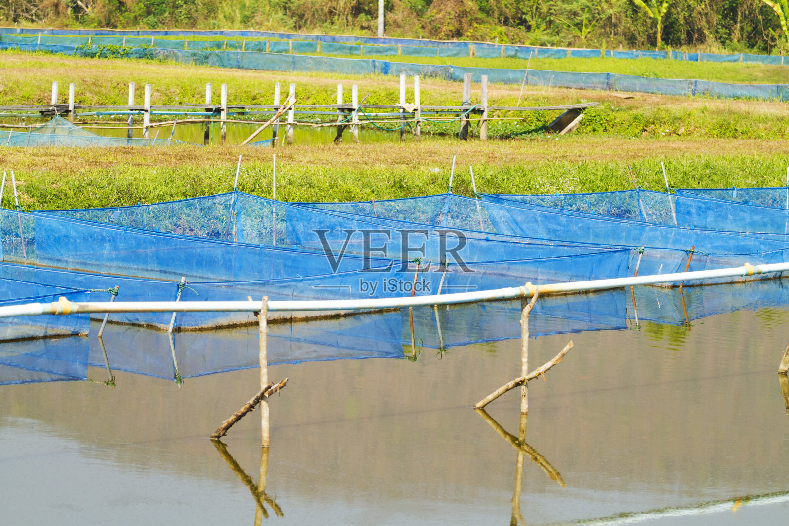 泰国清迈省水产养殖中的蓝色渔网照片摄影图片