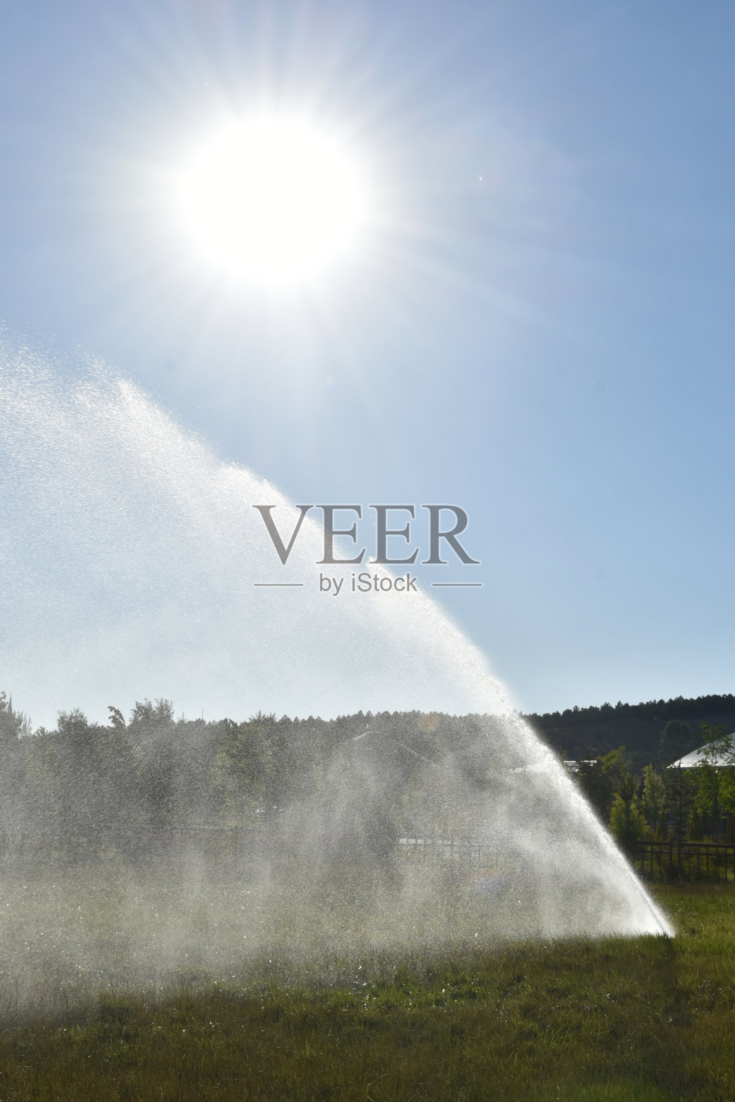 自动花园洒水灌溉系统照片摄影图片