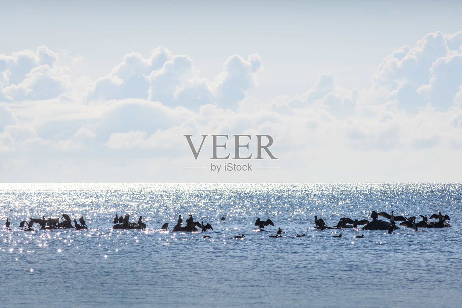 拉脱维亚默斯拉格附近的波罗的海海岸照片摄影图片