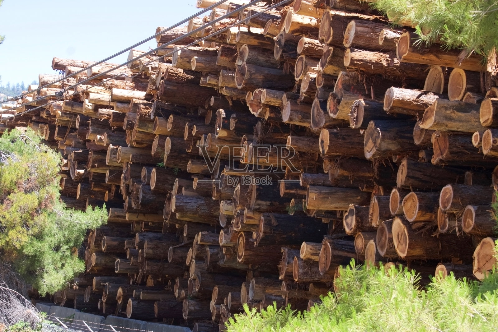 堆放在院子里的木材收获;自然资源是加州经济和生态的一部分照片摄影图片