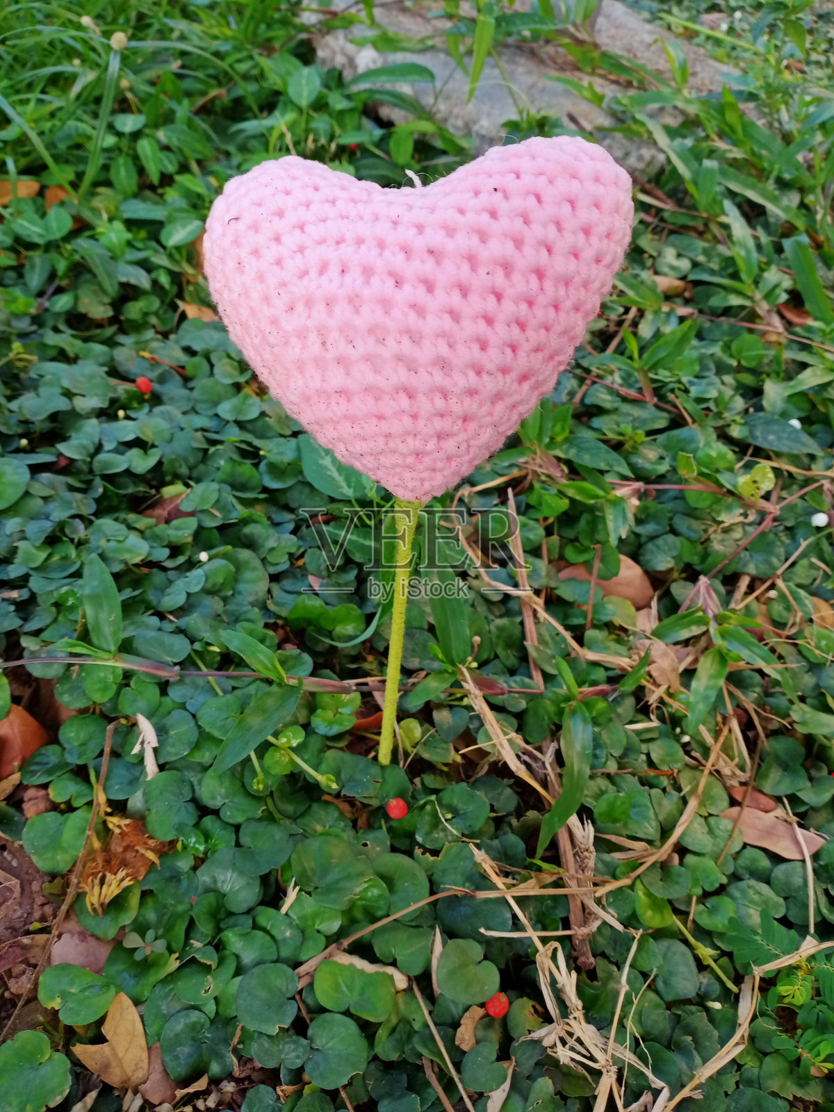 草地上的针织爱心照片摄影图片