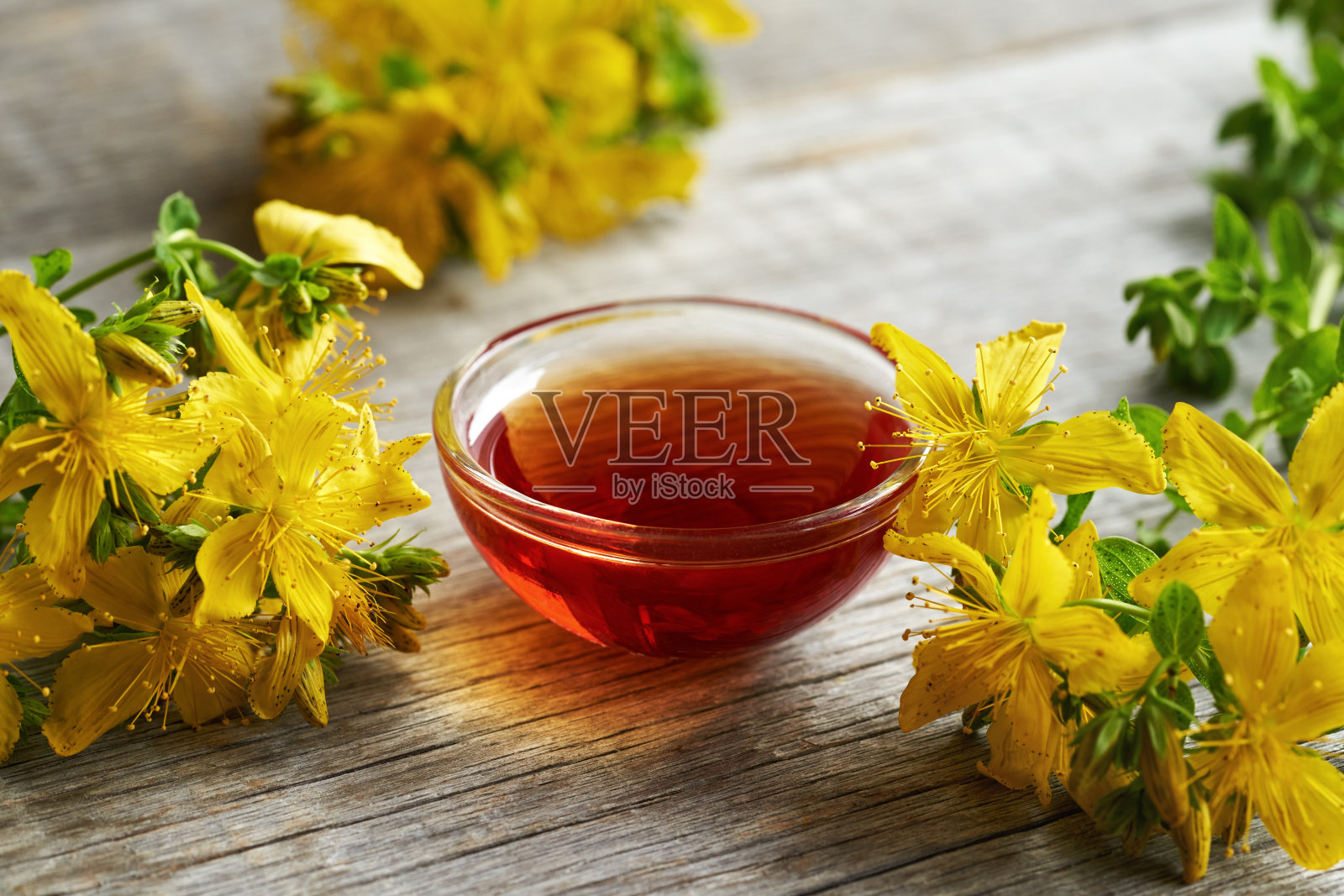 红圣约翰草油与新鲜金丝桃花照片摄影图片