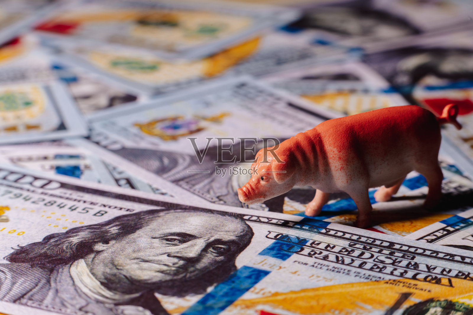 猪肉对美元和美元图标。经济的概念，资本主义，储蓄。照片摄影图片