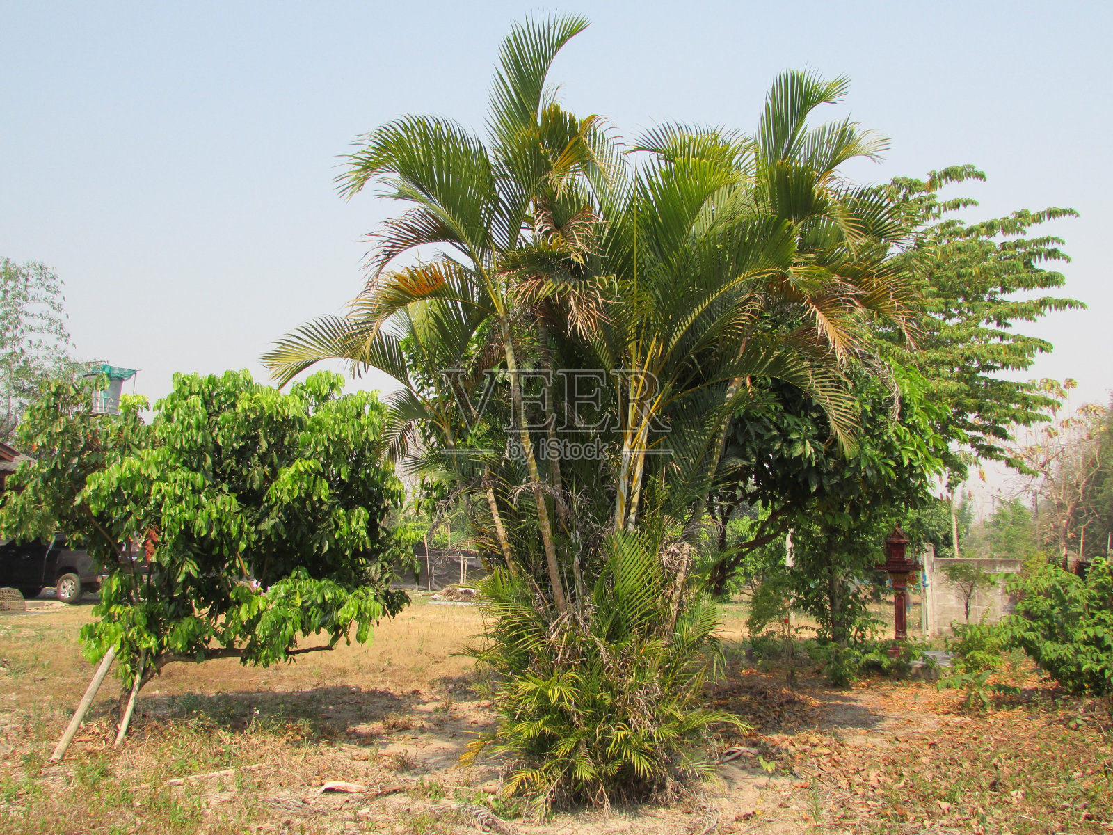 泰国清岛各类照片2照片摄影图片
