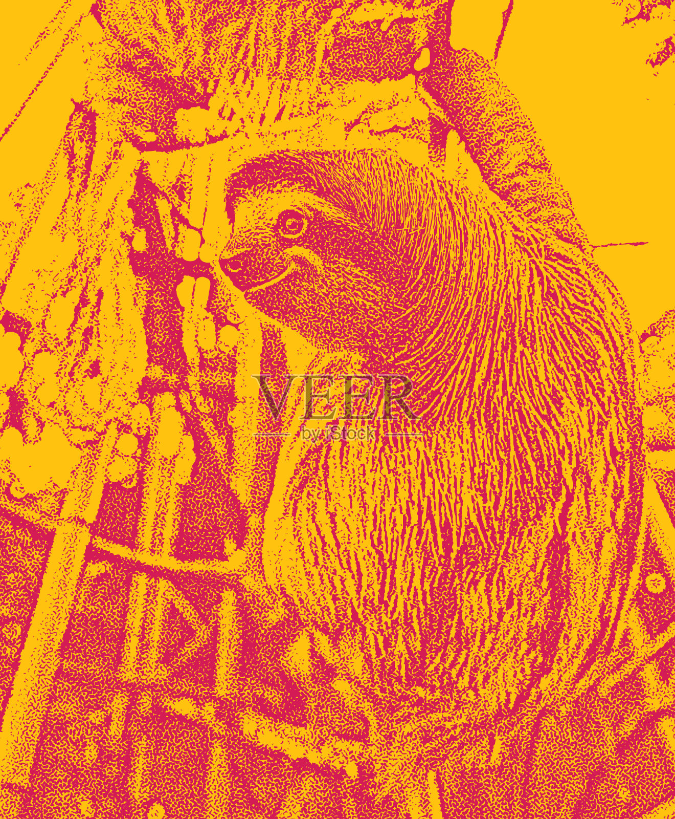 画一个快乐的，被拯救的树懒插画图片素材