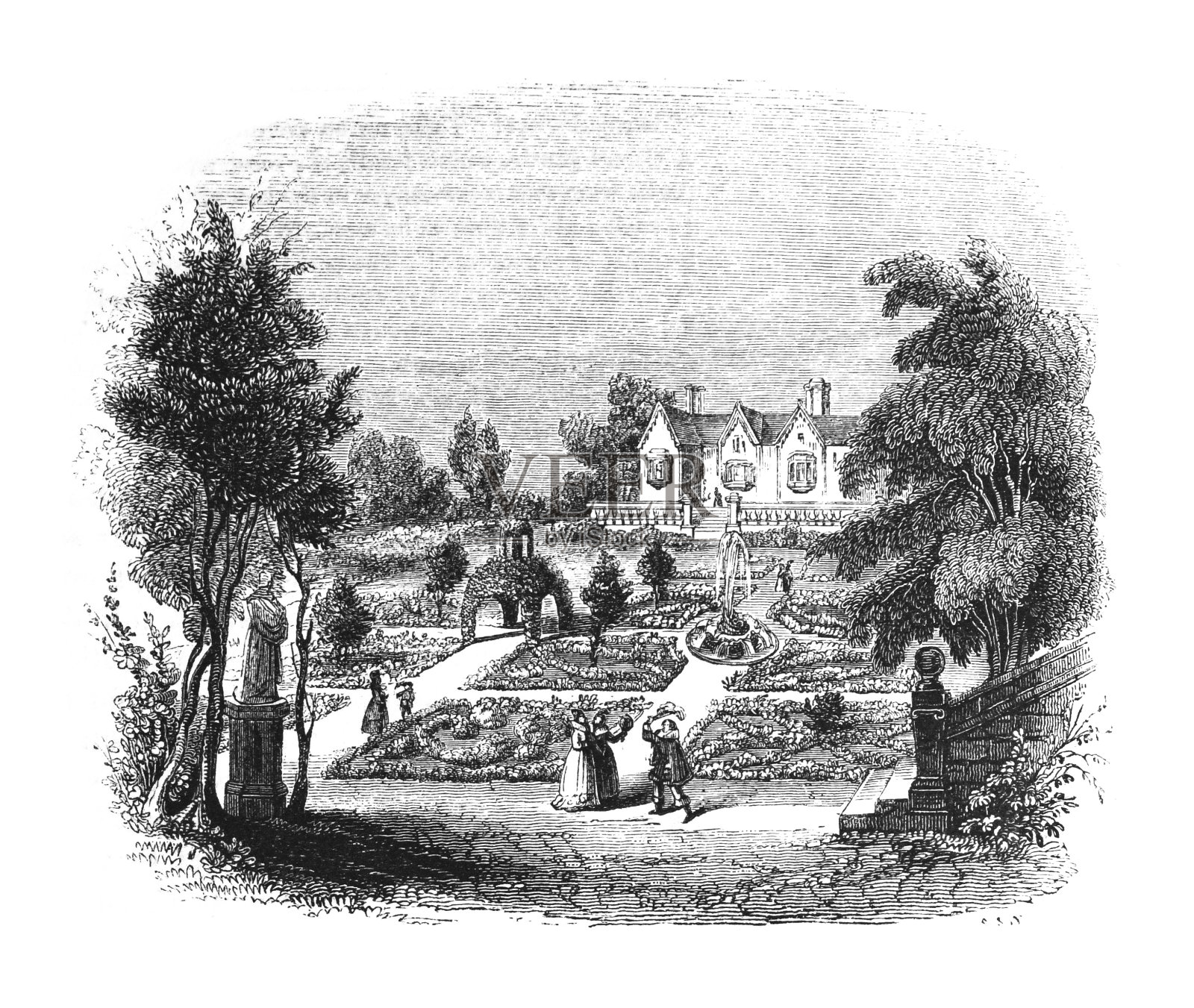 结花园-复古雕刻插图插画图片素材