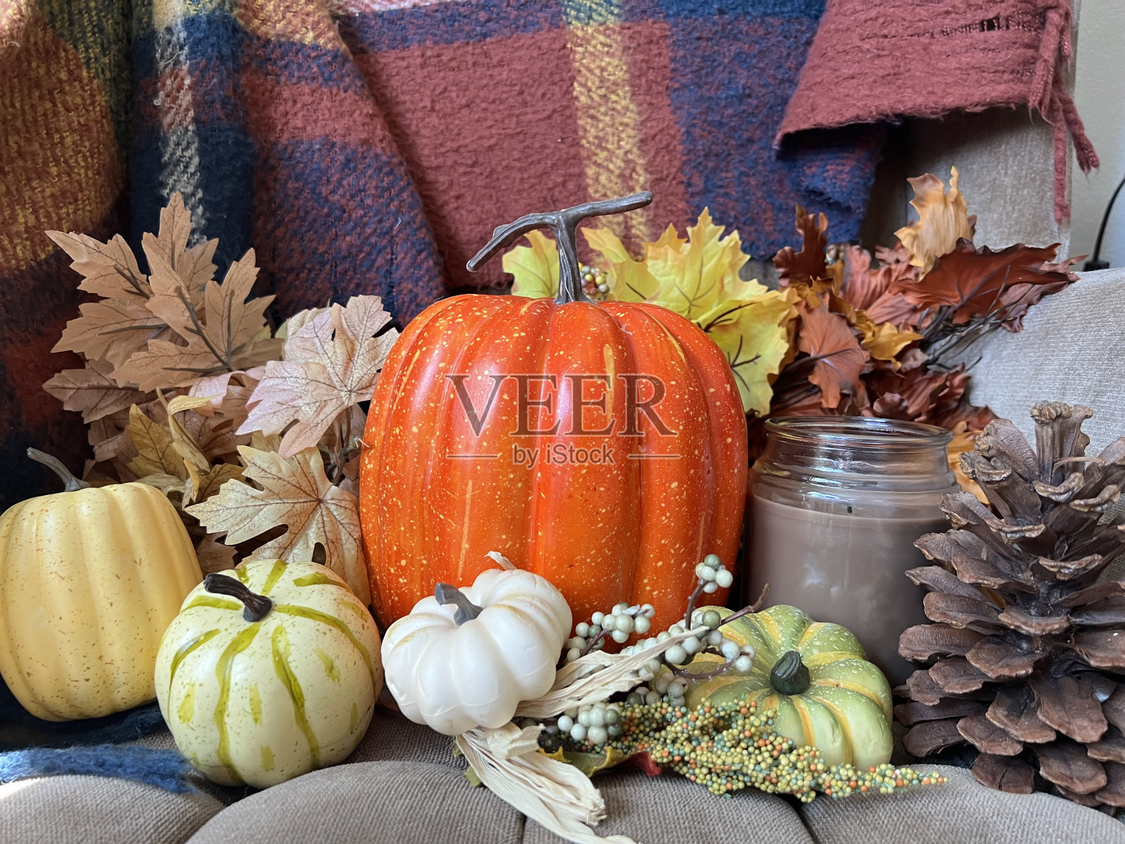 依偎南瓜照片摄影图片