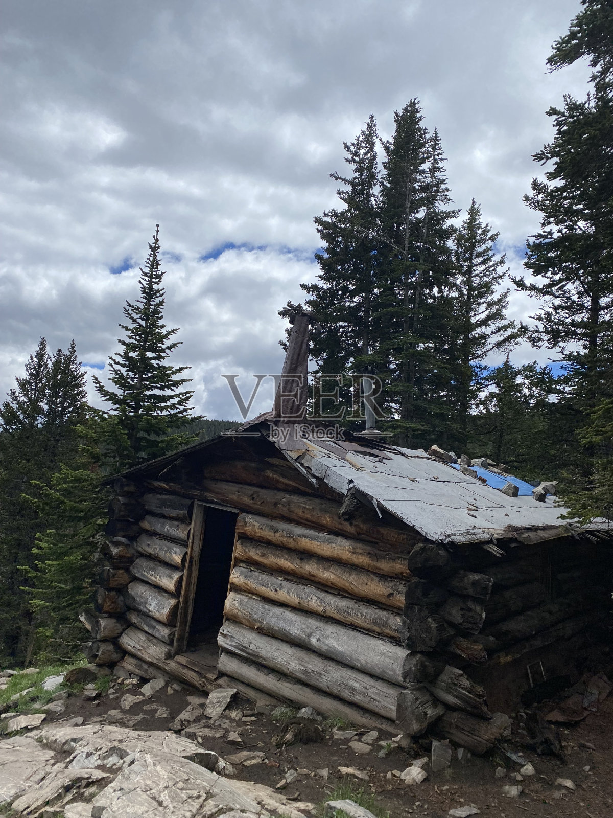 松树小屋照片摄影图片