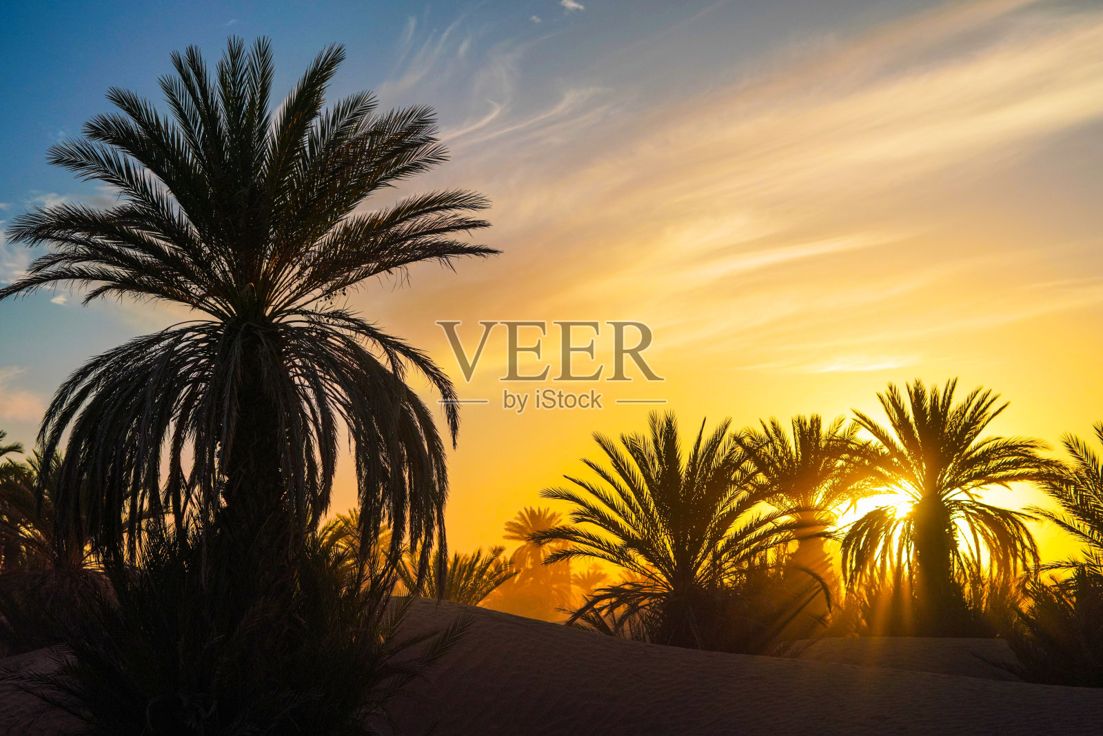 摩洛哥，棕榈沙漠后面的日落照片摄影图片