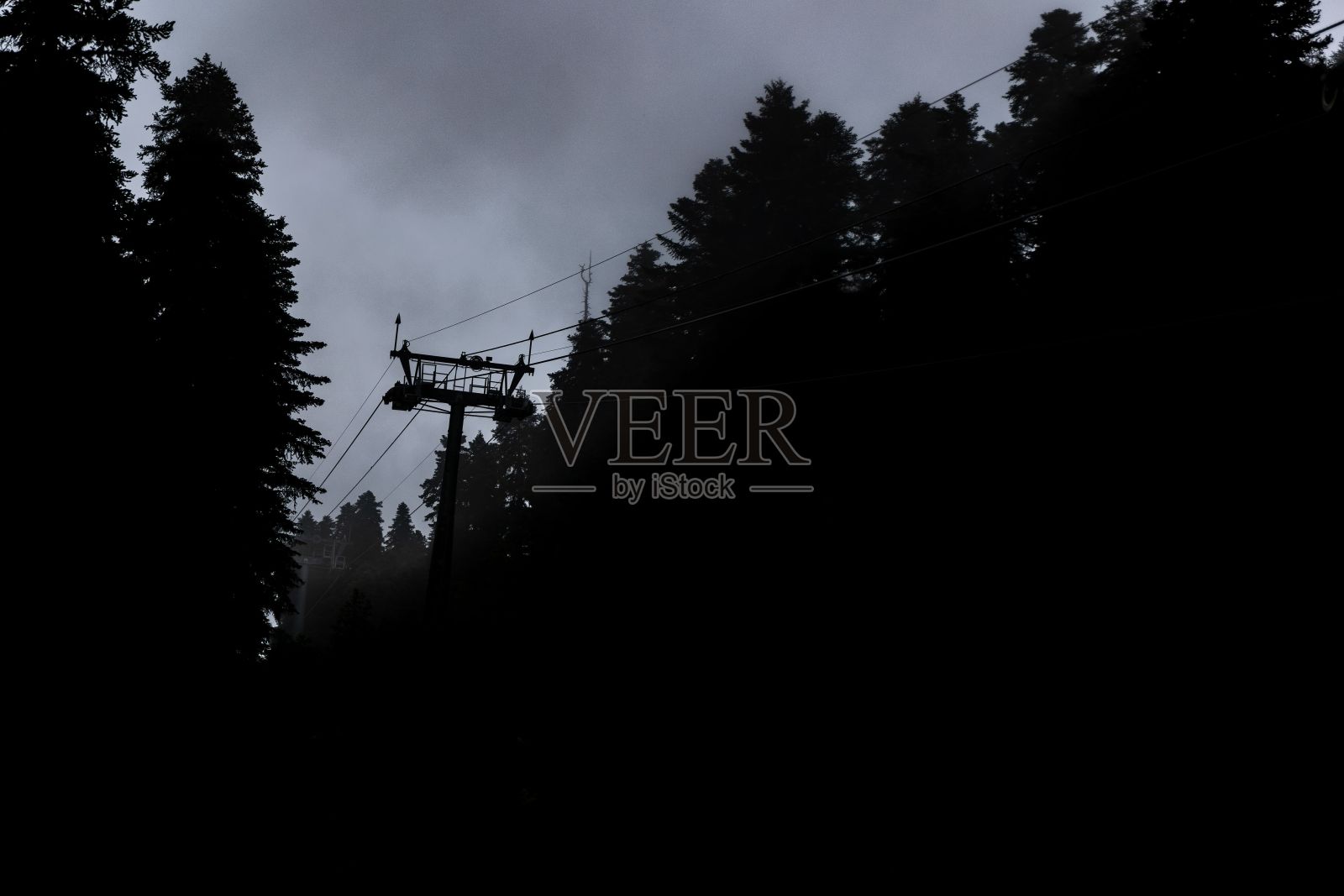 风景优美的滑雪缆车在树木的灰度照片摄影图片