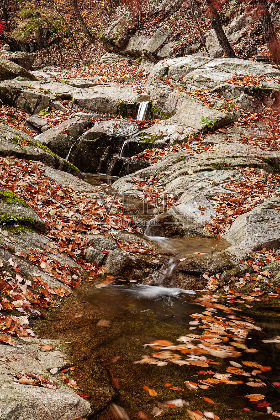 谷照片摄影图片