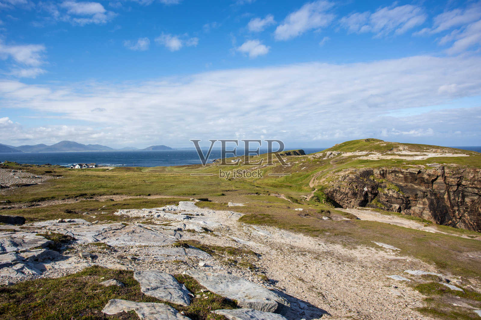 马林的头照片摄影图片