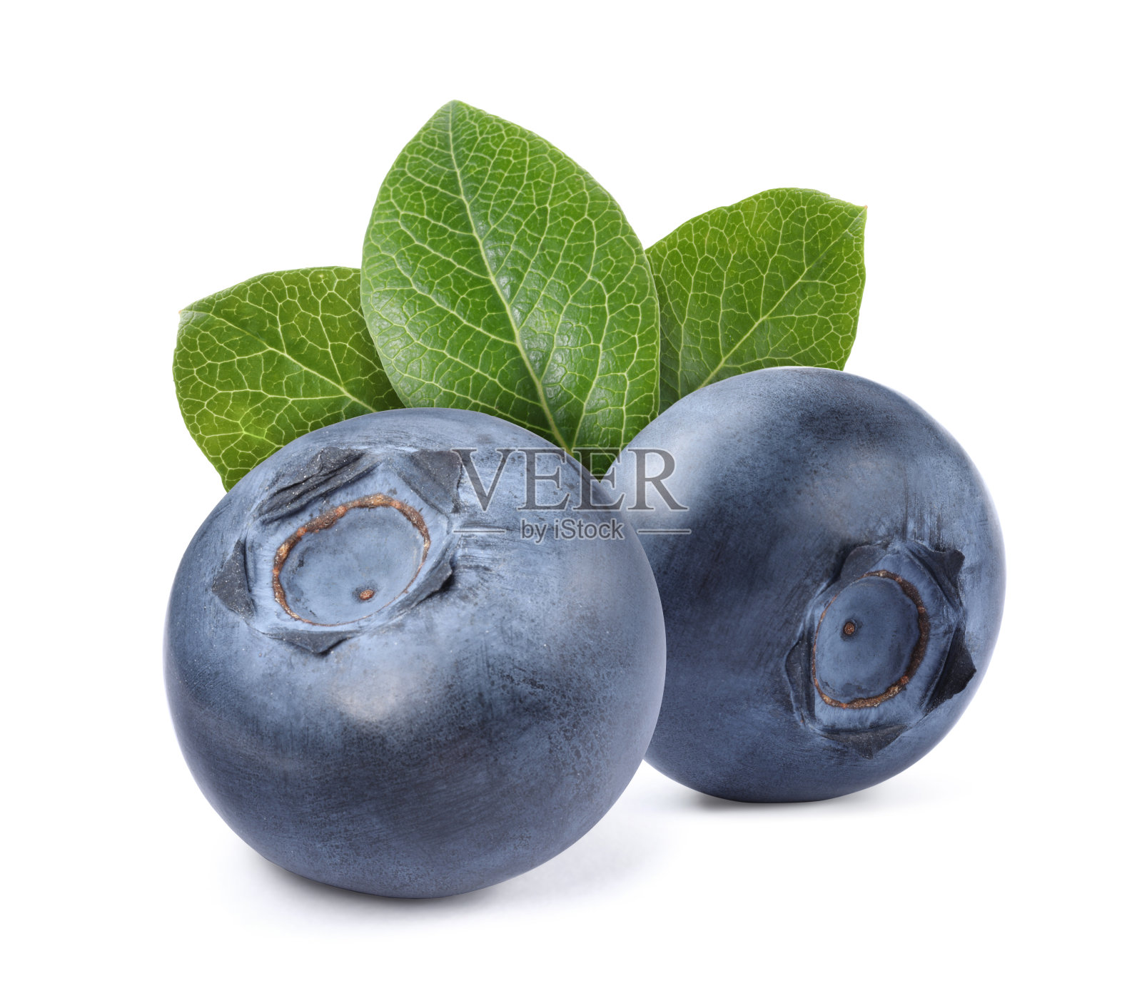新鲜成熟的蓝莓，绿叶孤立在白色上照片摄影图片