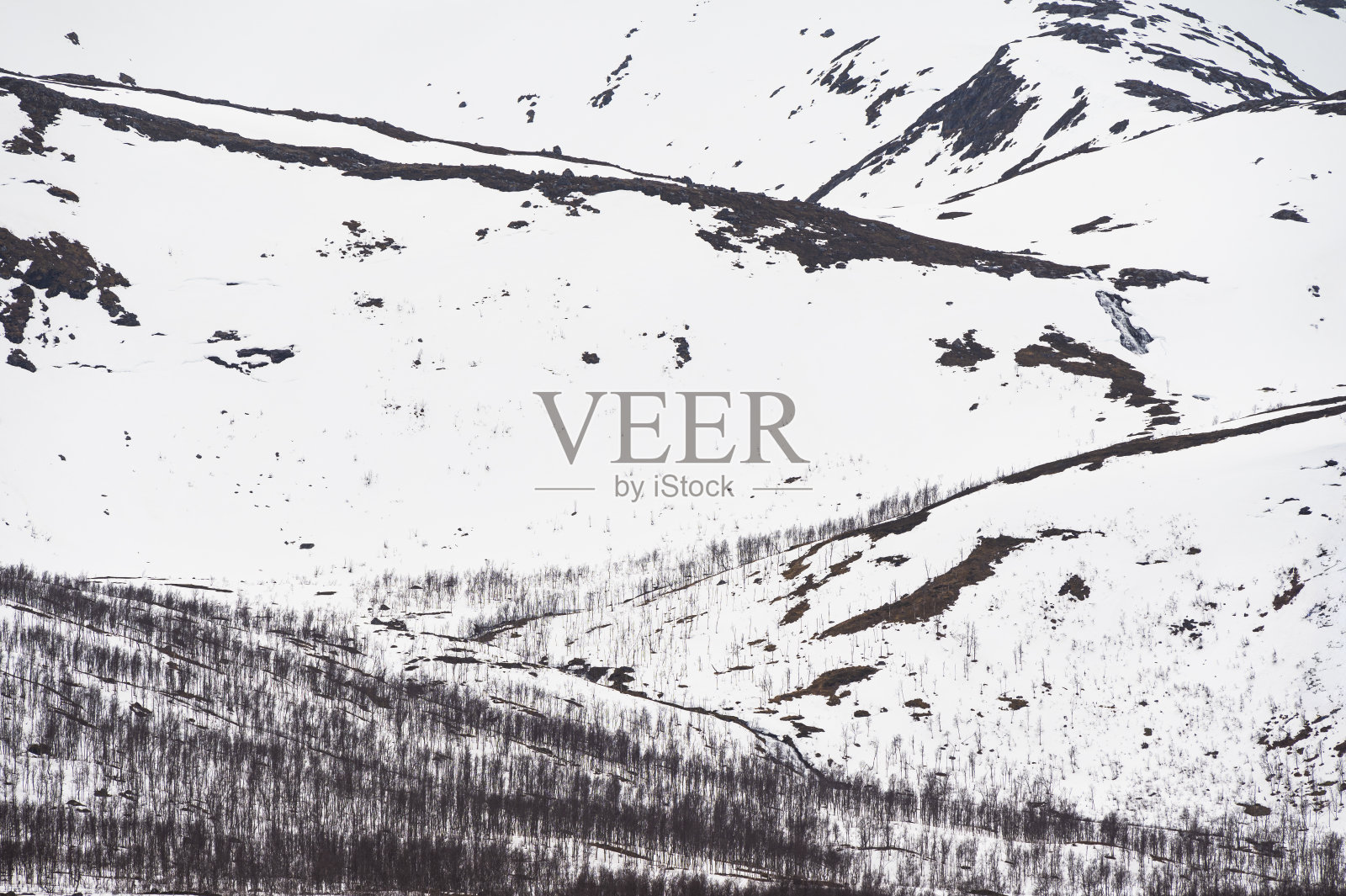 Senja岛春天的风景照片摄影图片