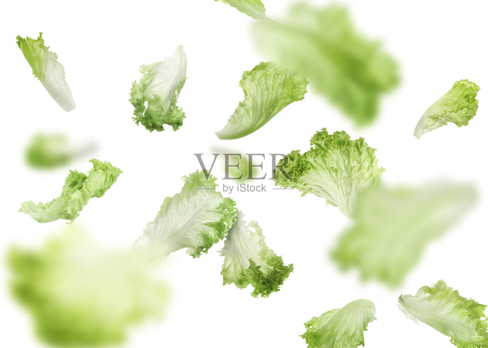 新鲜的绿色生菜叶子落在白色的背景上照片摄影图片