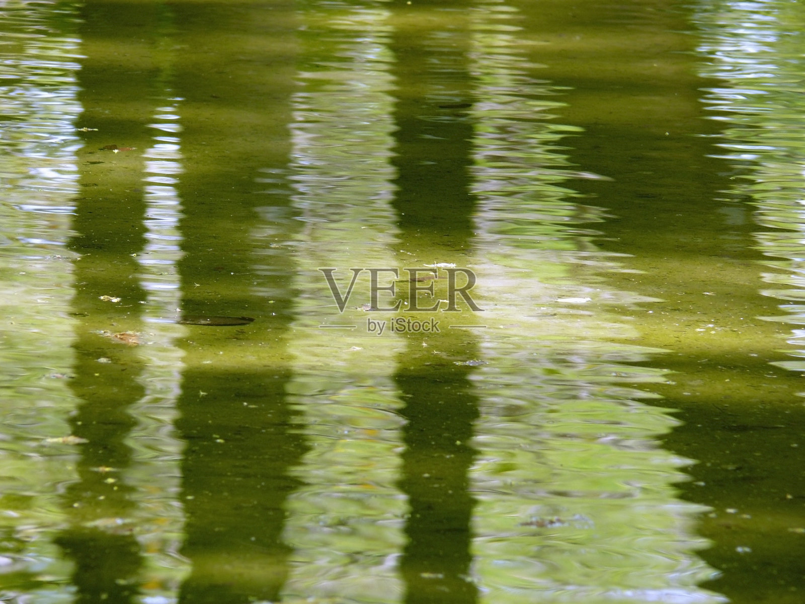 树在水中的倒影照片摄影图片