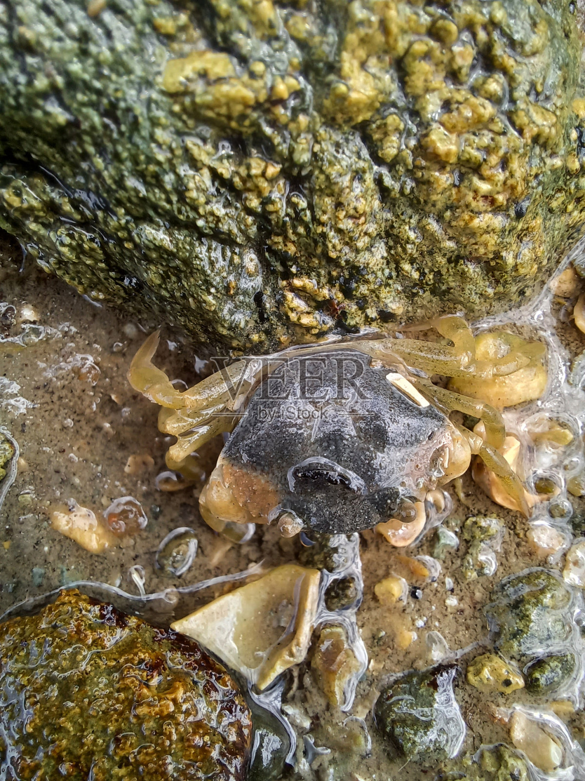 自然照片摄影图片