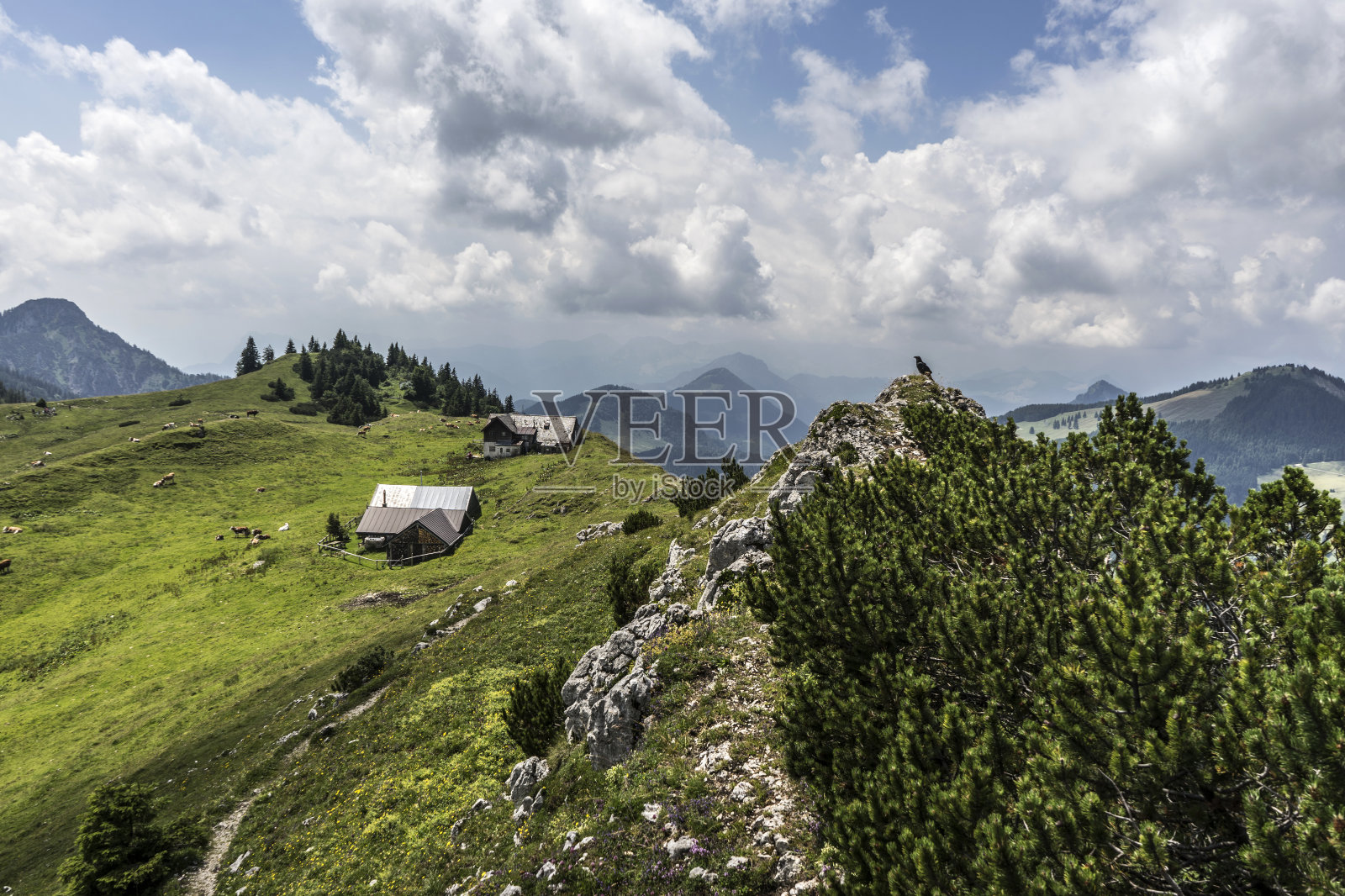 Chiemgau阿尔卑斯山照片摄影图片