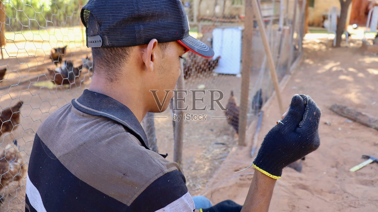 在农村工作的人照片摄影图片
