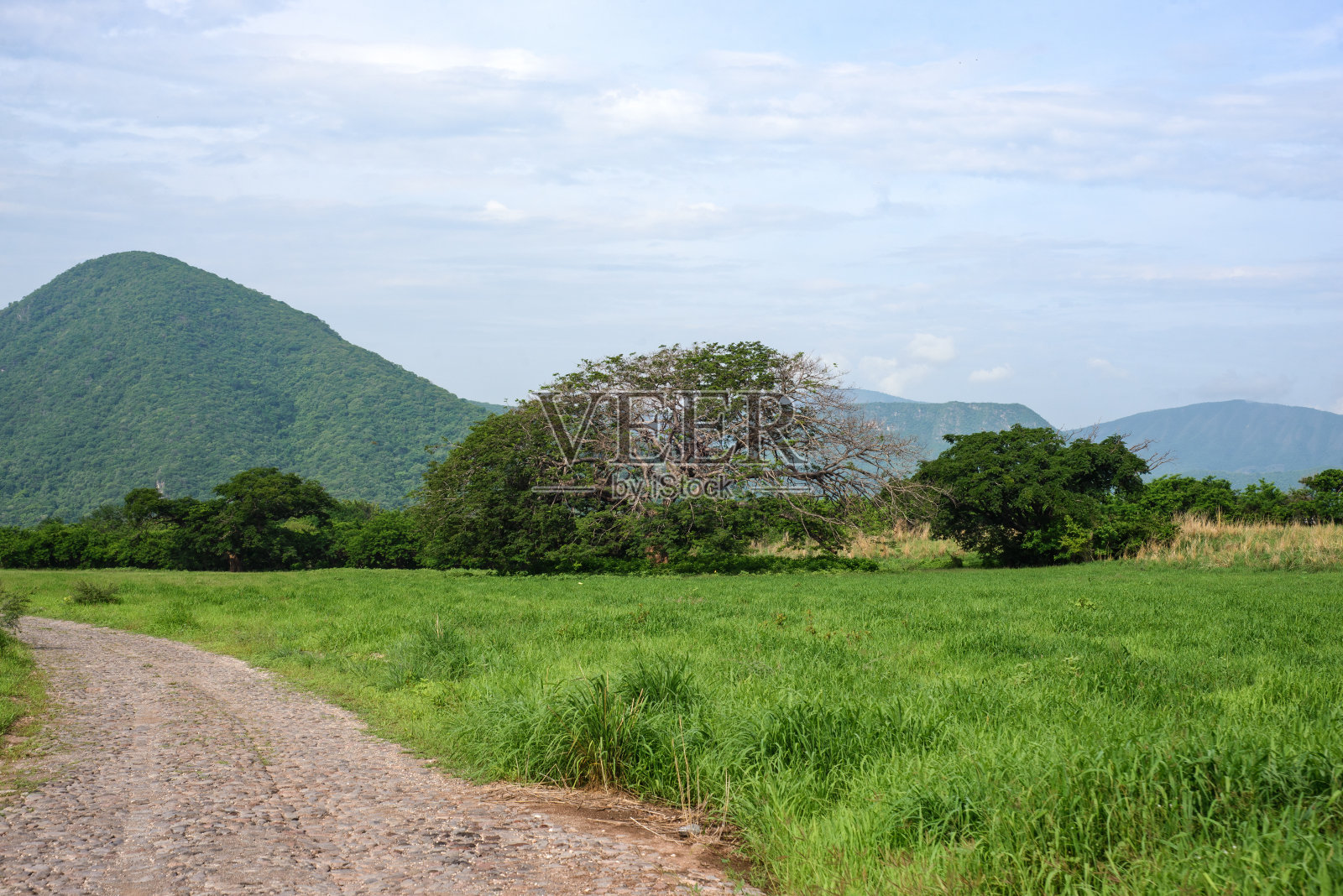 美丽的乡村景观与石头道路。充满活力的颜色。照片摄影图片