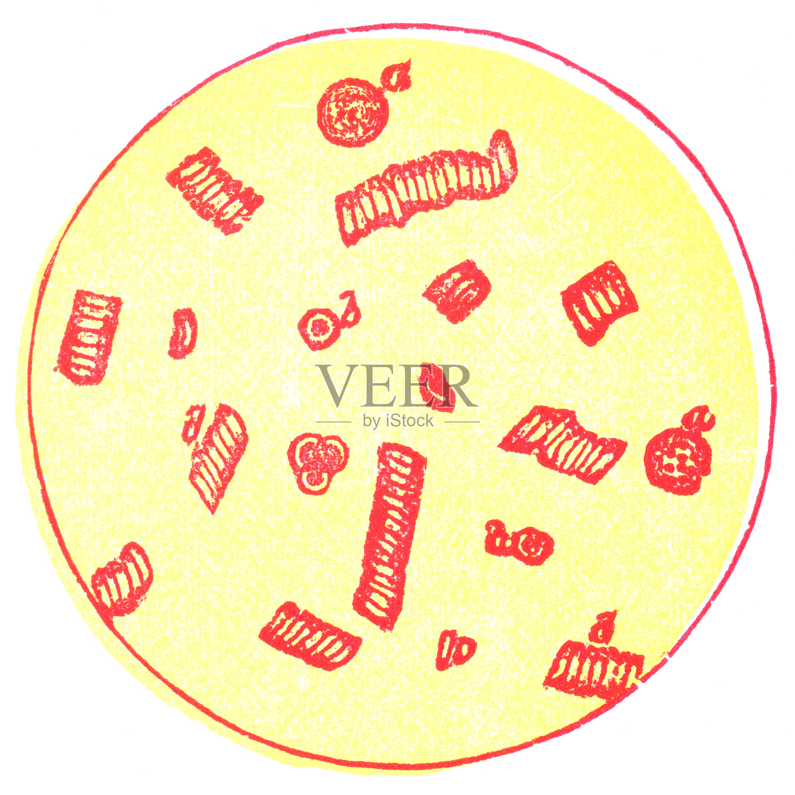 显微视图红血球在人类血液在Rouleaux堆叠，侧面视图- 19世纪插画图片素材