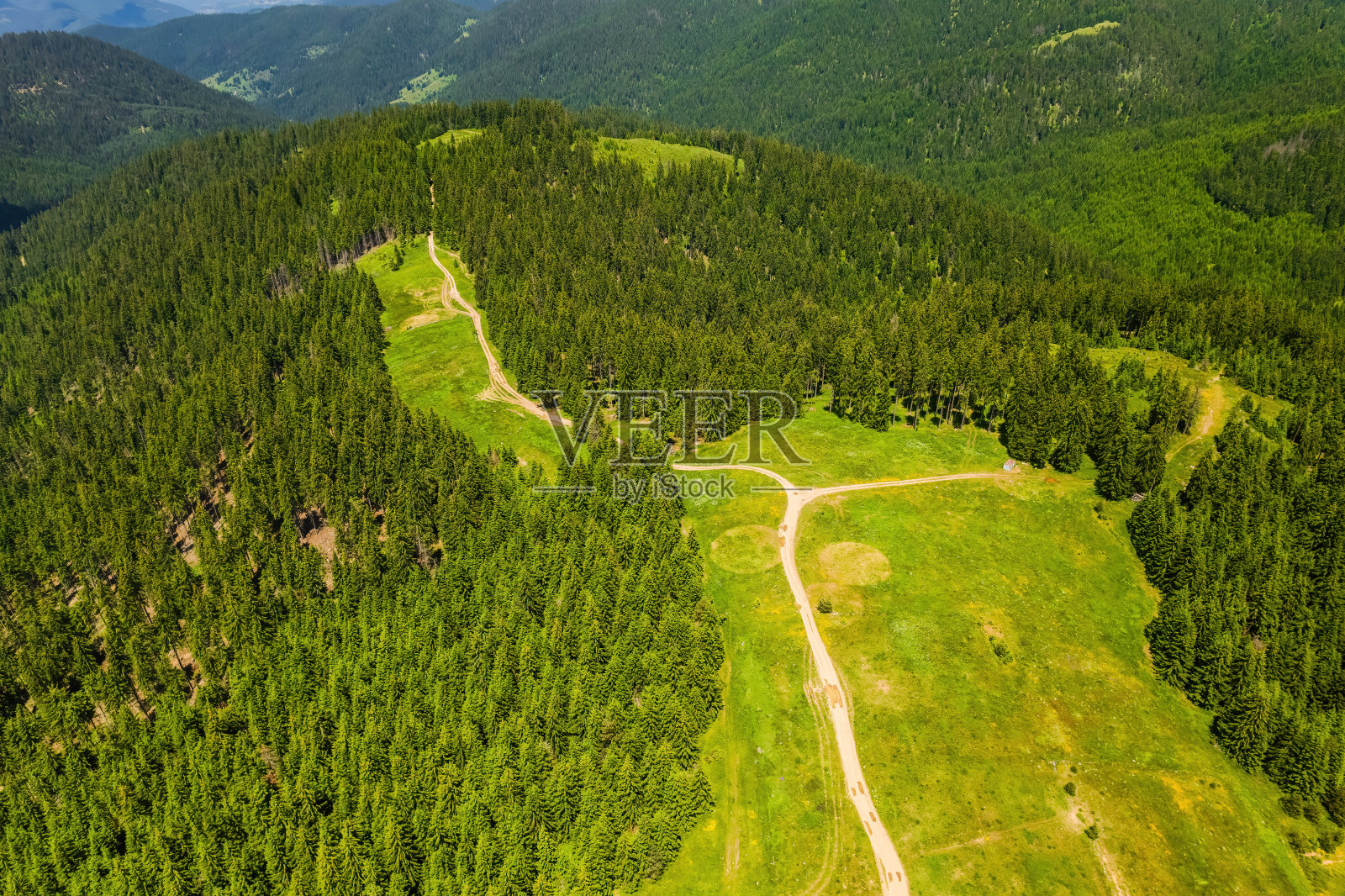 美丽的自然绿色森林，从空中俯瞰，航空照片照片摄影图片