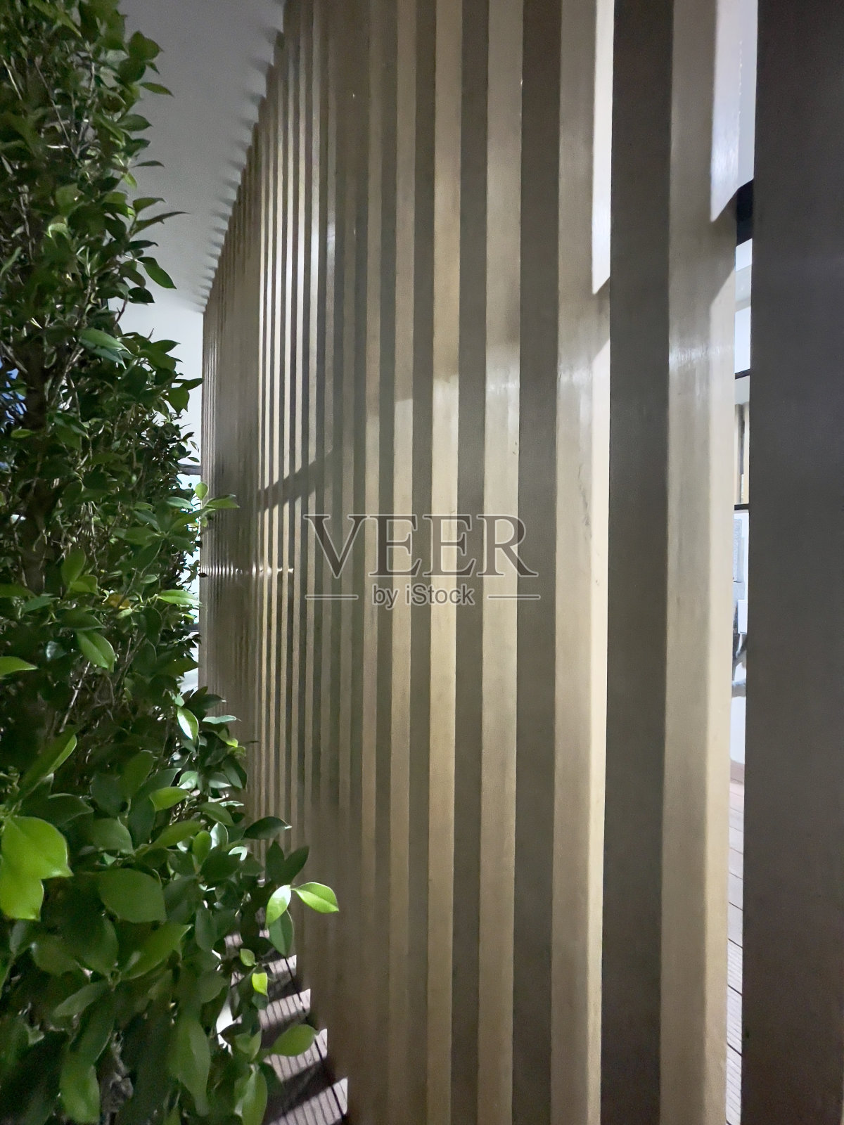 木照片摄影图片