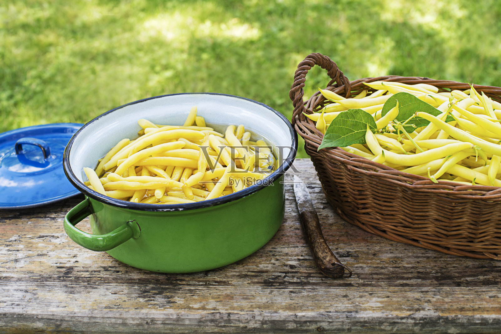 菜豆粉。烹饪健康菜肴的原料照片摄影图片