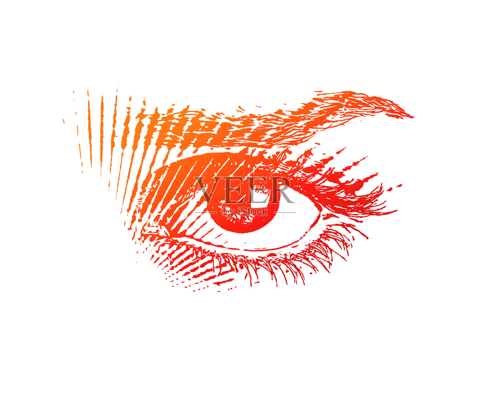 所有的导盲犬插画图片素材