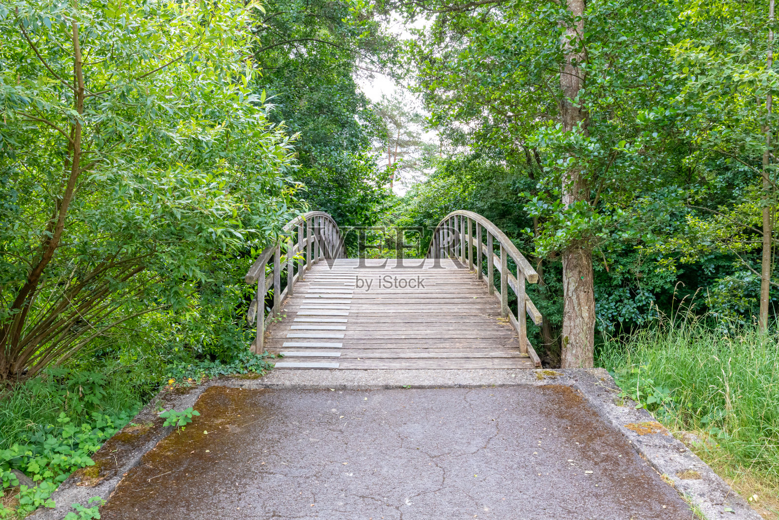 一条人行道通向一座横跨小溪的拱桥，拱桥上有木板搭建的平台照片摄影图片