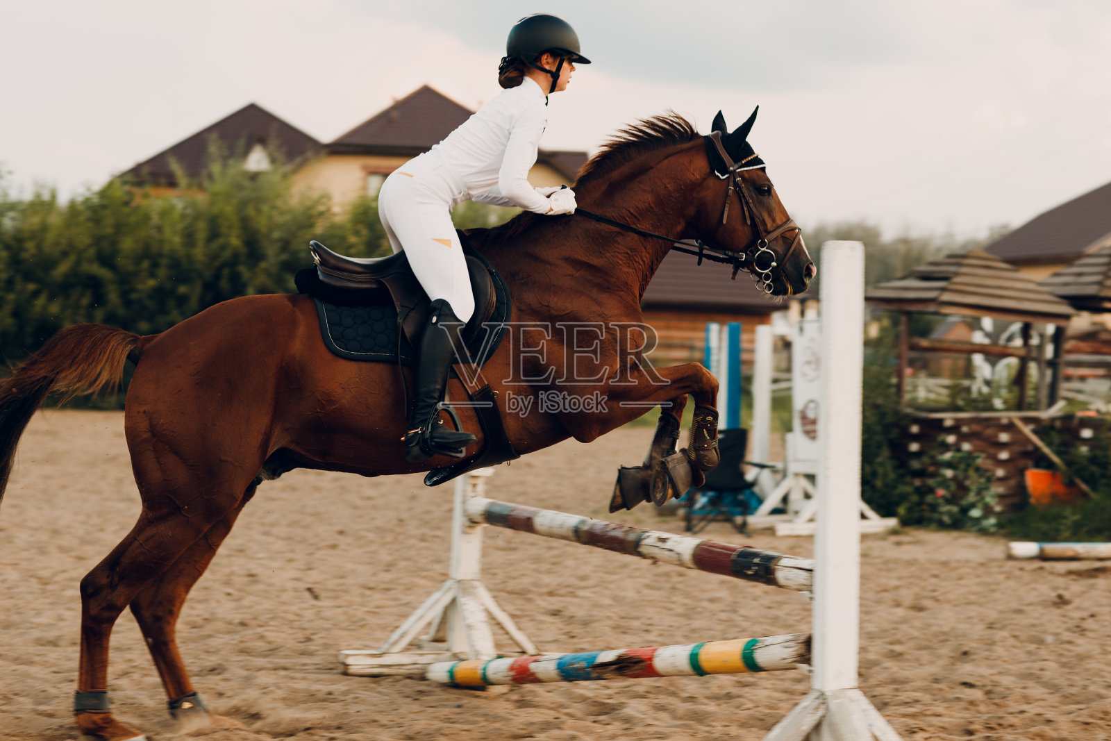 盛装舞步比赛中，身穿白色制服的女骑师与盛装舞步马匹跨栏的侧视图。照片摄影图片