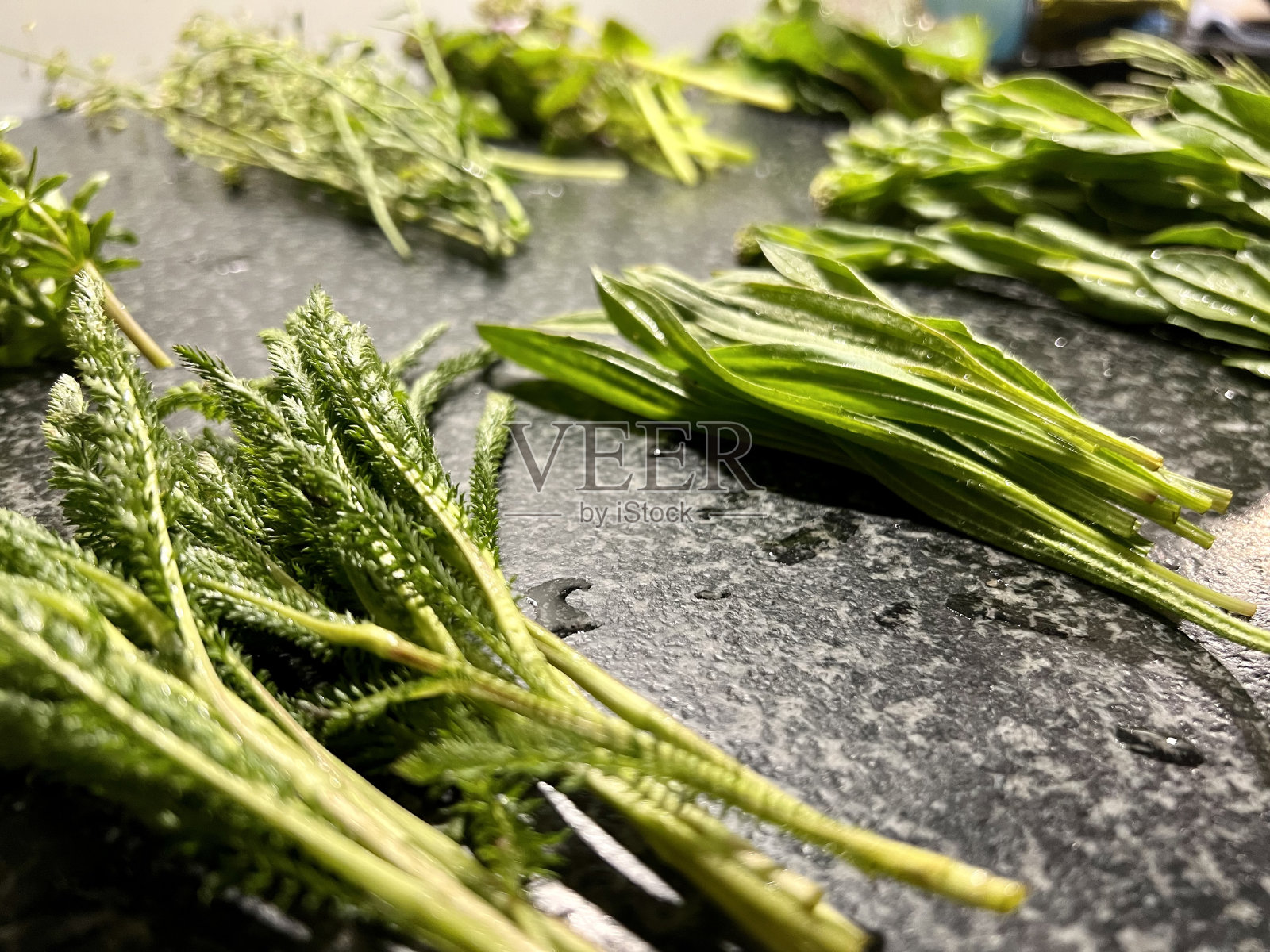 新鲜的野生草本植物照片摄影图片