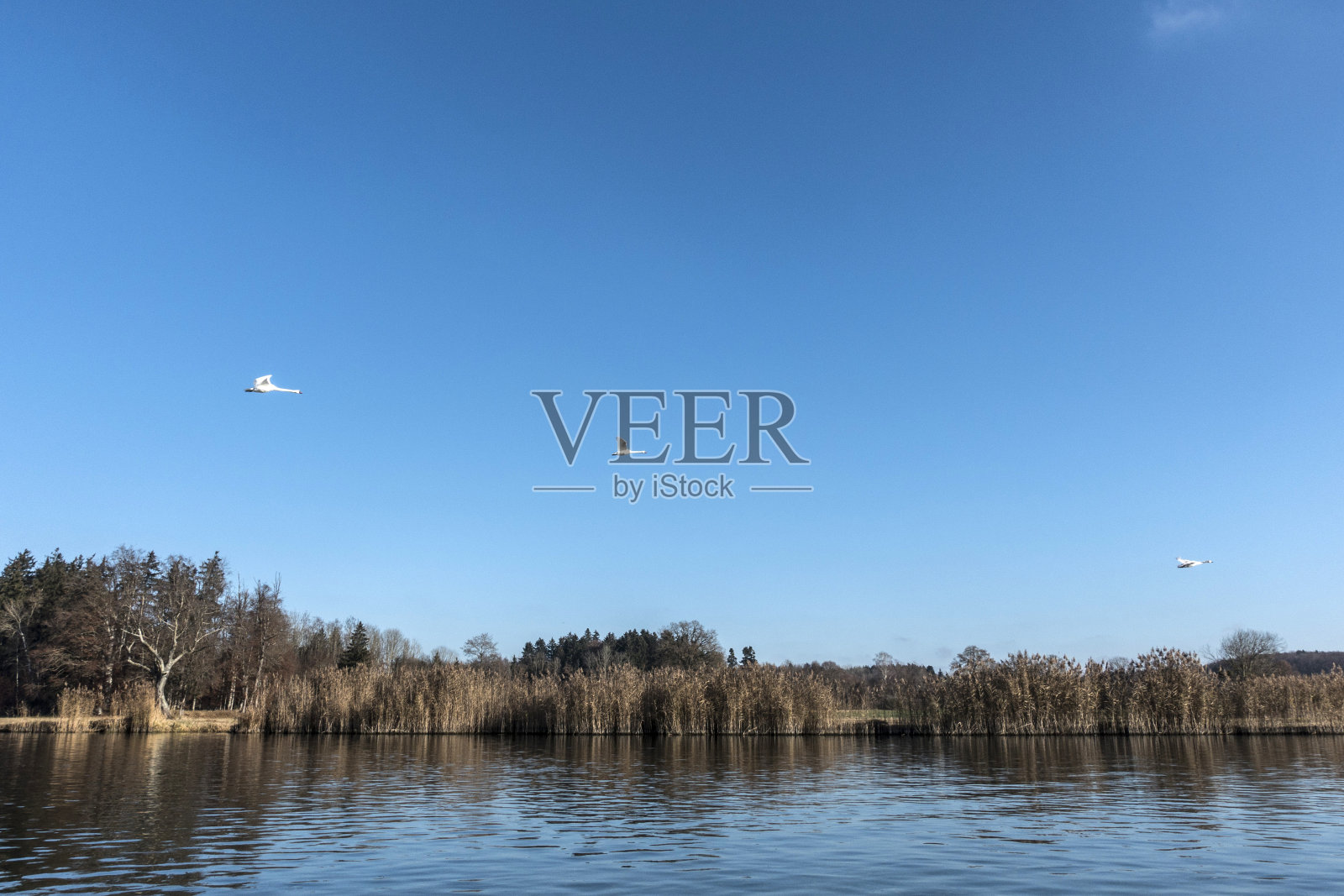 Alz河照片摄影图片