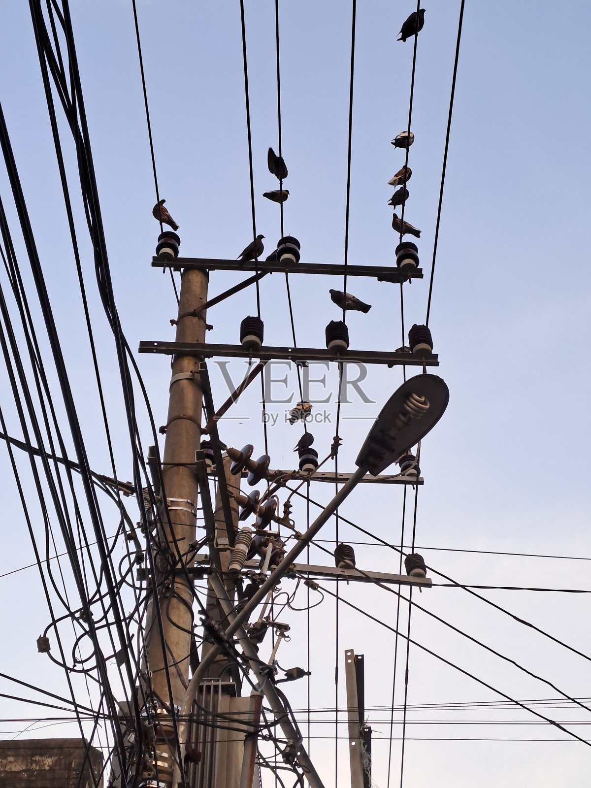 印度尼西亚南明古鲁，路灯上杂乱的电线和栖息的鸟儿照片摄影图片
