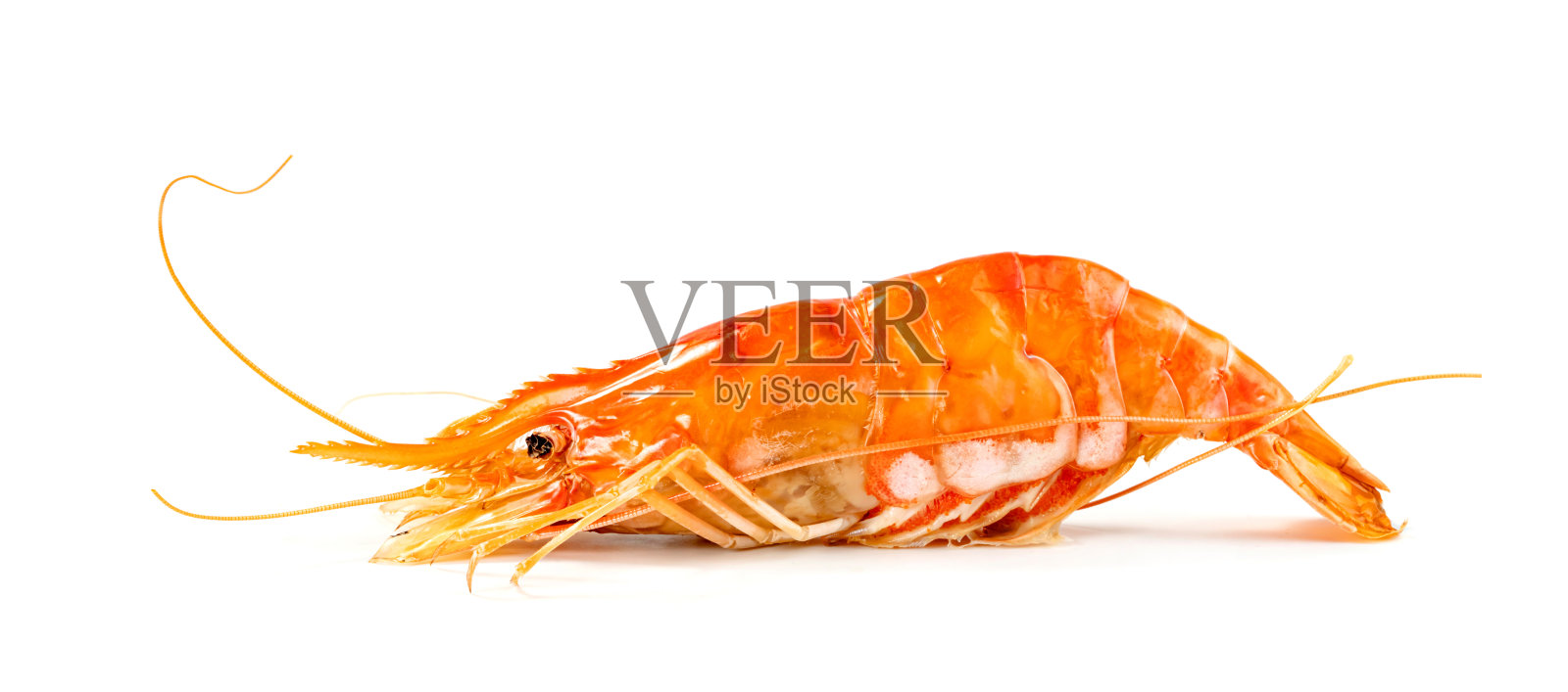 烤河虾常见孤立在白底，烤对虾照片摄影图片