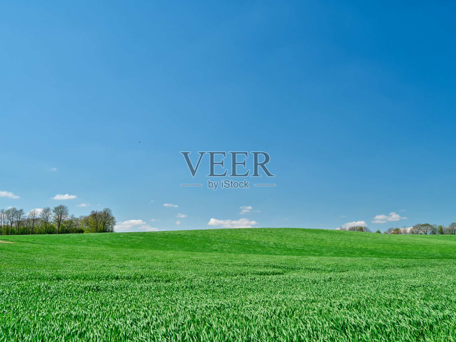 春天的农田照片摄影图片