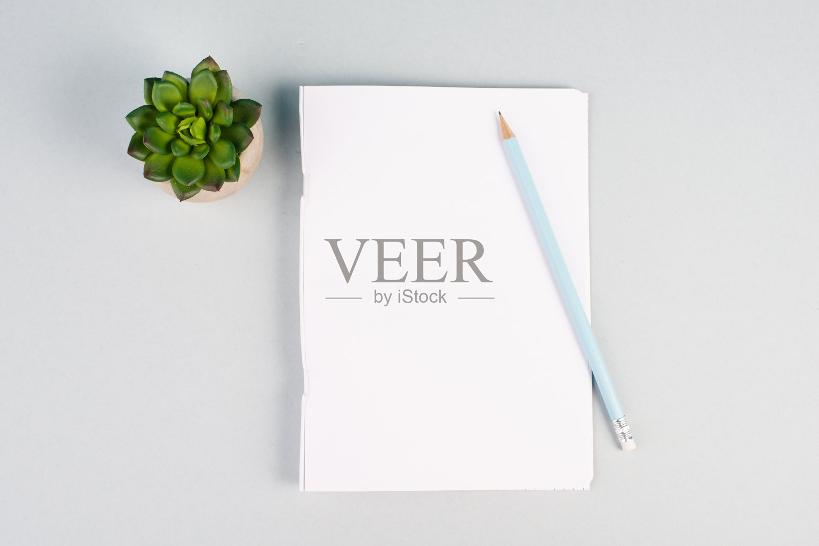 空纸与一支笔和一棵猫藤，有质感的背景，头脑风暴的新想法，写一条信息，休息一下，在家办公书桌照片摄影图片