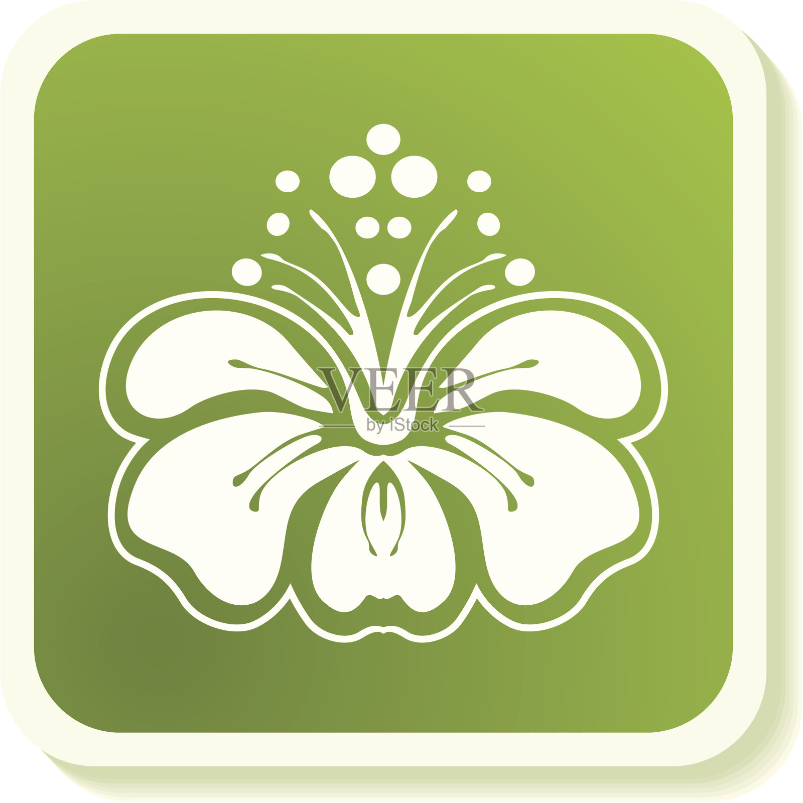 木槿图标插画图片素材